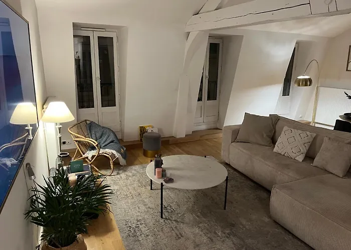 Beau Duplex Centre Historique De Dijon