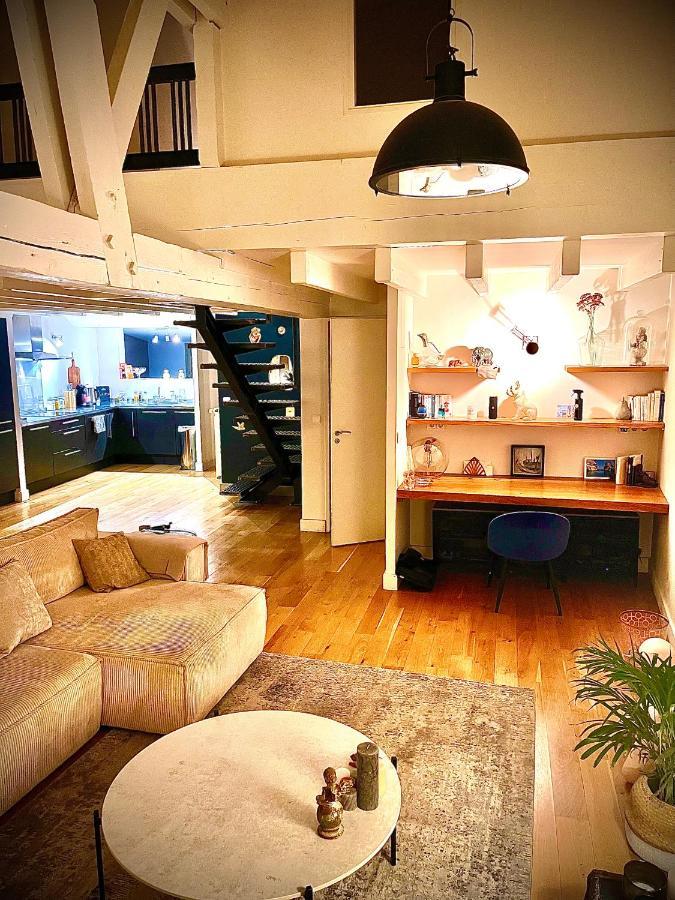 Apartamento Beau Duplex Centre Historique De Dijon