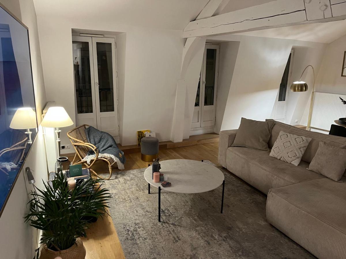 Apartamento Beau Duplex Centre Historique De Dijon